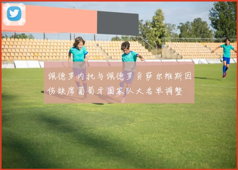 佩德罗内托与佩德罗贡萨尔维斯因伤缺席葡萄牙国家队大名单调整