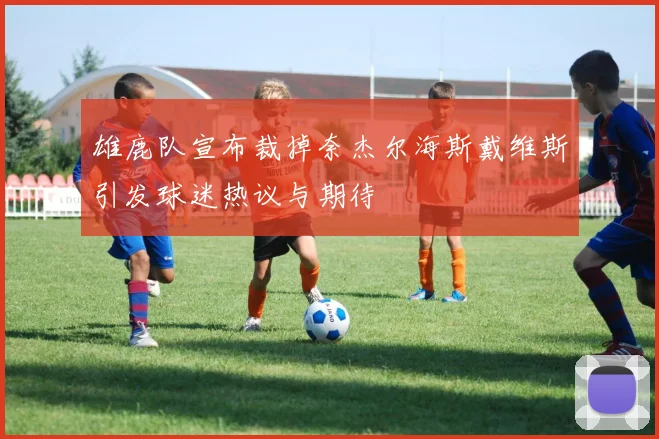 雄鹿队宣布裁掉奈杰尔海斯戴维斯引发球迷热议与期待