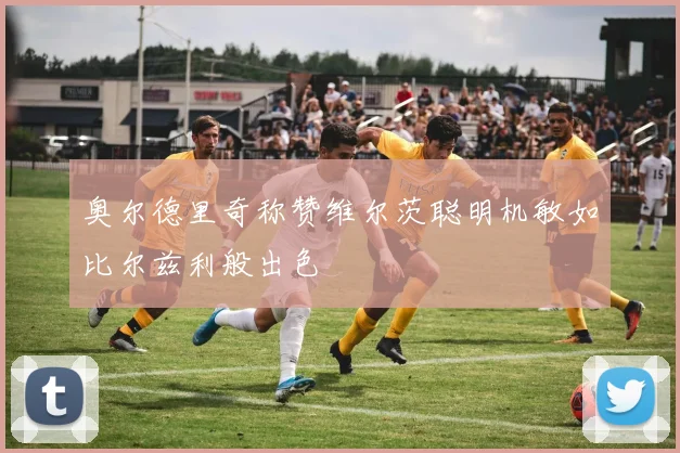 奥尔德里奇称赞维尔茨聪明机敏如比尔兹利般出色