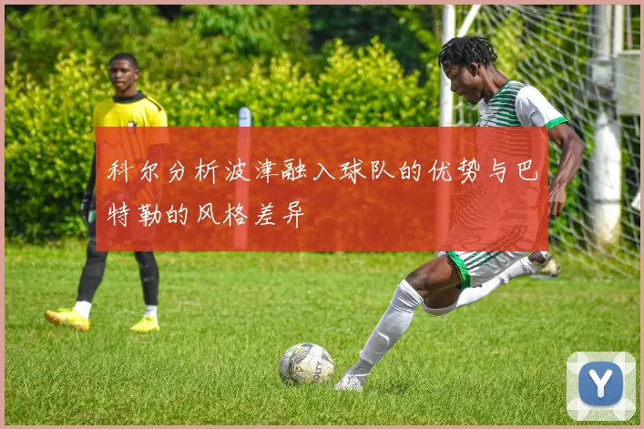 科尔分析波津融入球队的优势与巴特勒的风格差异